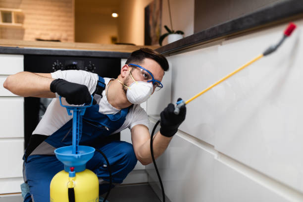 Best Cockroach Control Services  in Tomball, TX