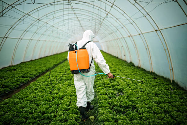 Best Affordable Pest Control Services  in Tomball, TX