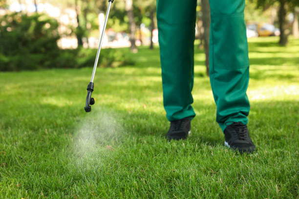 Best Ant Control Services  in Tomball, TX