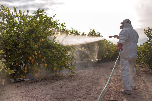 Pest Control for Restaurants in Tomball, TX
