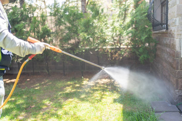 Best Wasp Removal Services  in Tomball, TX