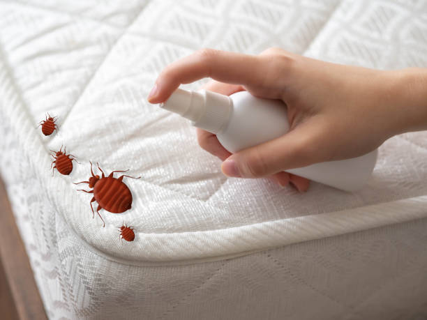 Best Pest Inspection Near Me  in Tomball, TX