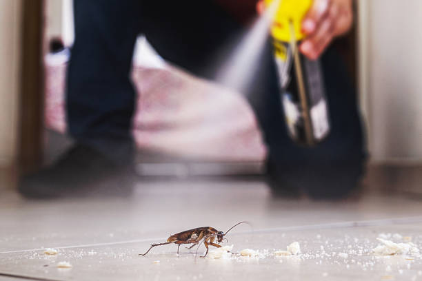 Best Pest Control Cost  in Tomball, TX