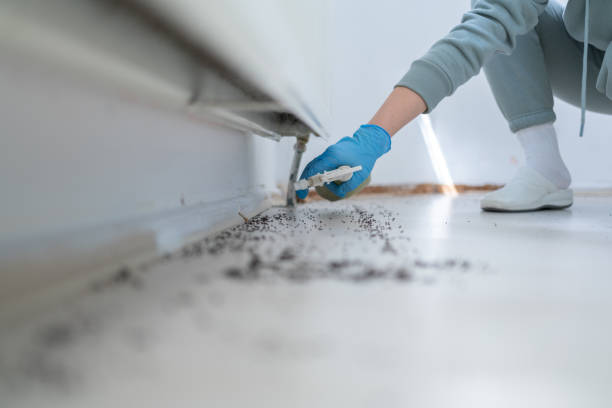 Best Residential Pest Control  in Tomball, TX