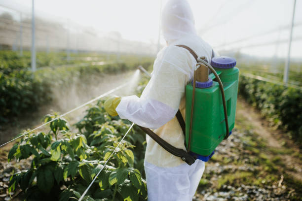 Reliable Tomball, TX Pest Control Solutions
